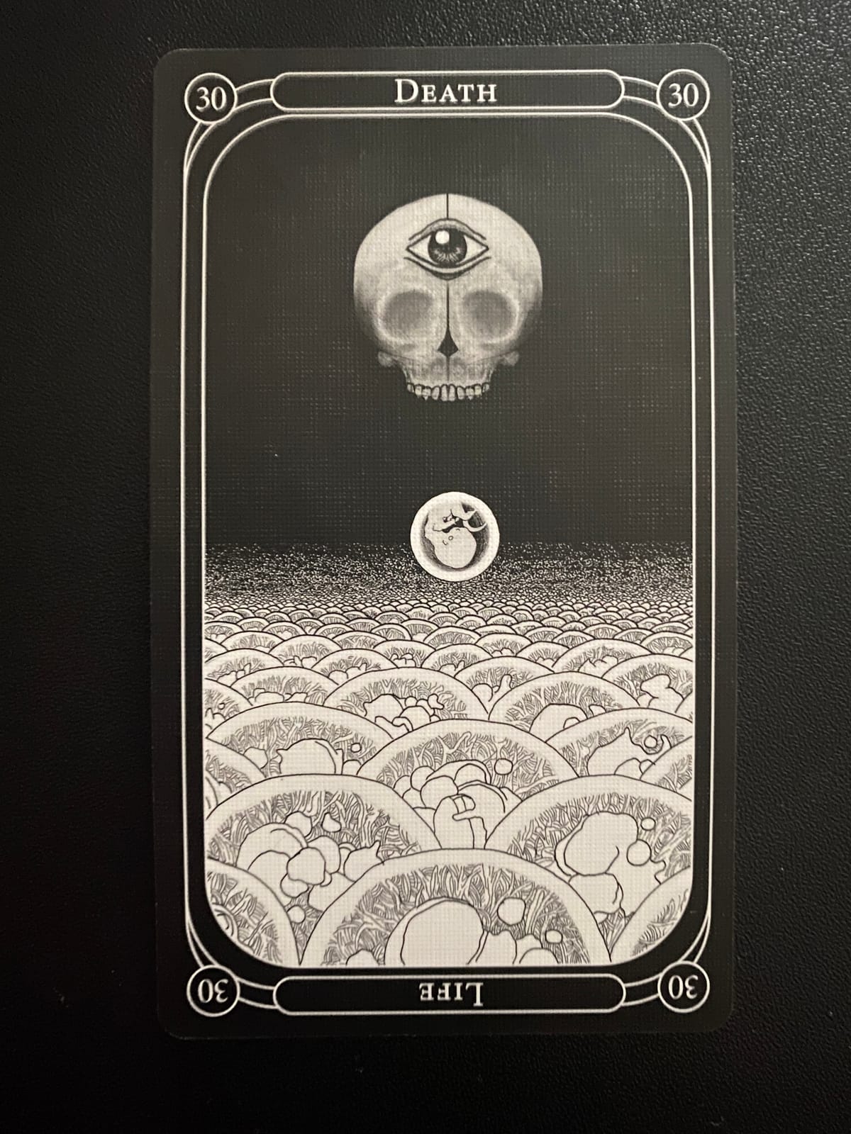 Why Death is Your Truest Companion in a Chaos Storm