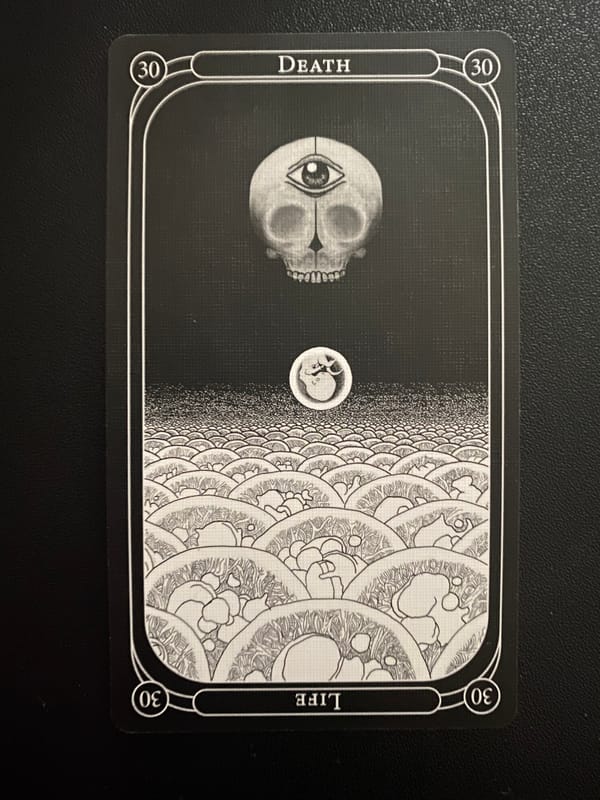 Why Death is Your Truest Companion in a Chaos Storm